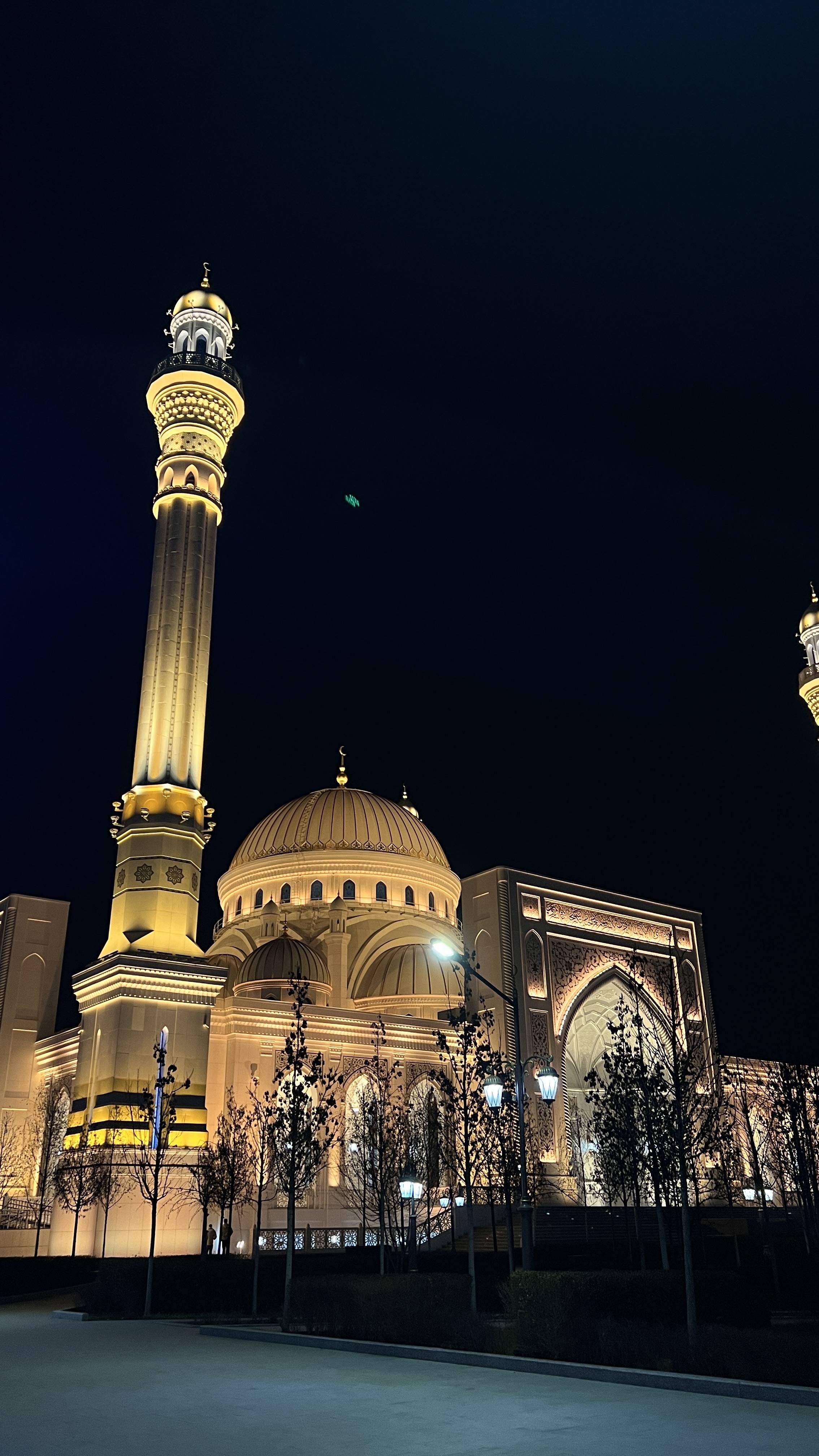 image-undefined
